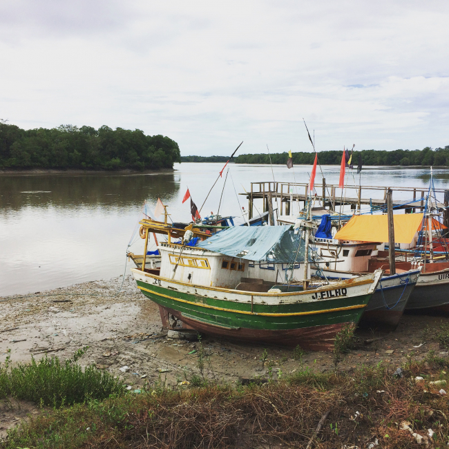 Use and management of natural resources such as fishing have been a core focus of many environmental civil society organizations. A new ZMT study shows that the interests of environmental NGOs now also include broader social and sustainability issues. | Photo: S. Partelow, ZMT