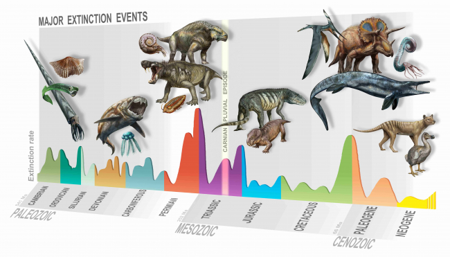 The Carnian Pluvial Episode (centre) led to the emergence of new species and the spread of the dinosaurs | Davide Bonadonna, MUSE, Museo delle Scienze, Trento, IT