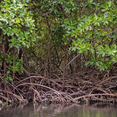 CDRatlas: Wegweiser für CO2-Entnahmemethoden im Meer und an Land