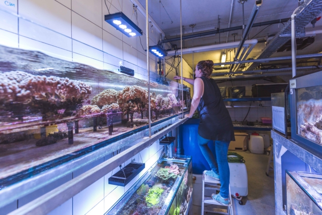 At the marine experimental facilities (Photo: Tom Vierus)