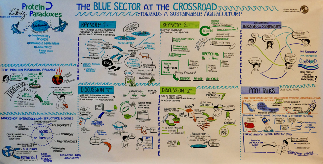 Graphic recording from the workshop | Photo: Gabriele Heinzel
