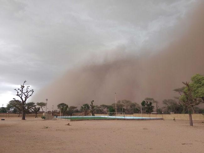 A huge wall of sand sweeps across a dry, dusty landscape dotted with scattered trees. In the foreground lies an empty sandy area with a fenced-in sports field.