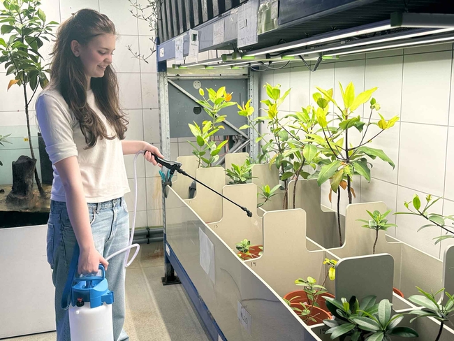 Eine Frau steht in einem hell beleuchteten Innengewächshaus und besprüht mehrere kleine Topfpflanzen mit einer Handspritze, die an einen blauen Behälter angeschlossen ist. Sie trägt ein weißes Langarmshirt und Jeans und lächelt, während sie die Pflanzen in nummerierten Fächern unter Pflanzenlampen pflegt; im Hintergrund sind geflieste Wände und weitere Pflanzen zu sehen