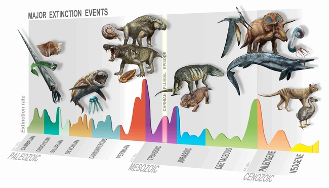 Die Carnian Pluvial Episode (Bildmitte) führte zur Entstehung neuer Arten und der Ausbreitung der Dinosaurier | Davide Bonadonna, MUSE, Museo delle Scienze, Trento, IT