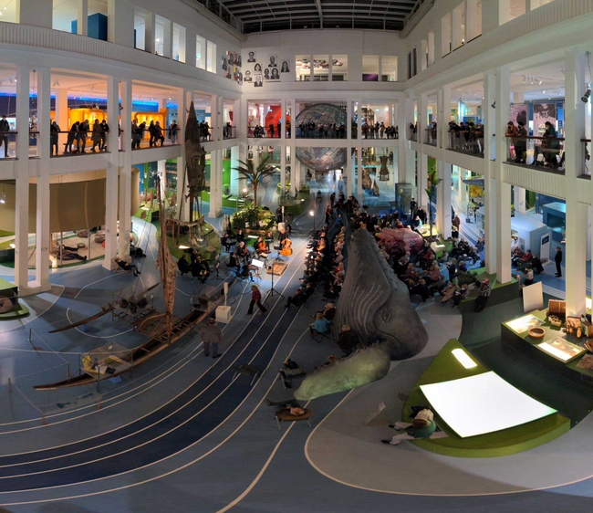 Ein großer, mehrstöckiger Museumsinnenraum, der mit Besuchern und Exponaten gefüllt ist. Der Raum ist hell erleuchtet und farbenfroh, mit weißen Säulen und Balkonen auf zwei Ebenen, von denen aus man die Besucher beobachten kann. Im Erdgeschoss sitzt eine Menschenmenge vor einem Streichorchester, das in der Mitte des Saals spielt. Um sie herum sind naturgeschichtliche und kulturelle Exponate ausgestellt, darunter ein großes Modell eines Walschädels, ein traditionelles hölzernes Auslegerkanu und tropische Pflanzen. Es herrscht eine lebhafte Atmosphäre, in der sich die Menschen in den verschiedenen Bereichen des Museums umsehen, spazieren gehen und sich mit den Ausstellungsstücken beschäftigen.  Übersetzt mit DeepL.com (kostenlose Version)
