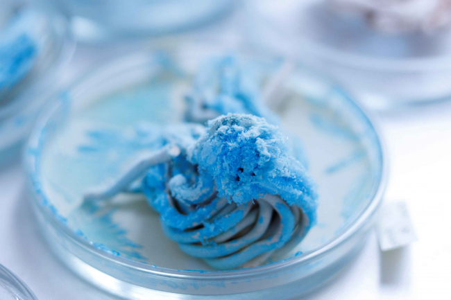 © Salzkristalle wachsen auf einer korallenartigen Keramik – einem „tentakulären Wesen“ der Installation „Looking for Medusa“. Foto: Linda Weiß