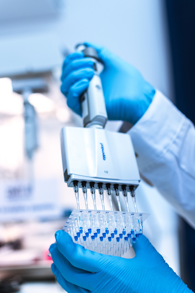 Within the project high-throughput DNA sequencing will be estalblished at the ZMT | Photo: Tom Vierus, ZMT