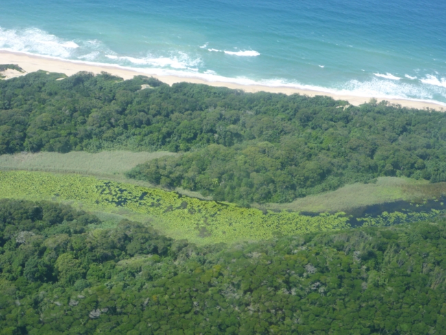 Aerial view of a tropical coastal landscape featuring a dense green forest with varied tree cover, a narrow strip of beach with light-colored sand, and turquoise ocean waves breaking along the shore.