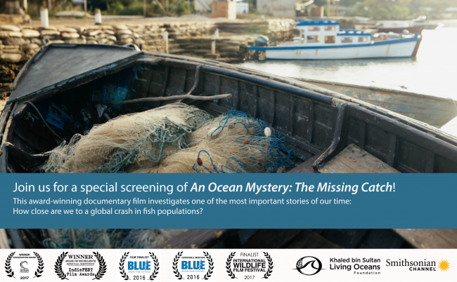 Film Screening Ocean Mystery, The Missing Catch