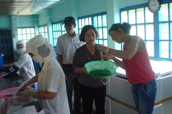 Forscherinnen und Forscher des ZMT untersuchen Seetang in Vietnam ꓲ Foto: Andreas Kunzmann